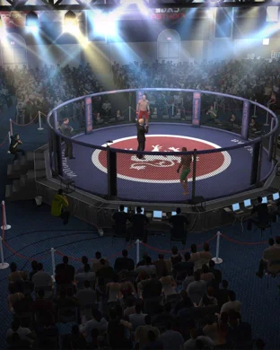 PFL Austin